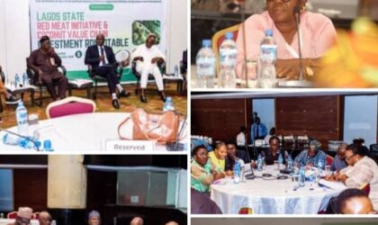 FAO–Lagos Red Meat & Coconut Roundtable Closes with Clear Investment Pathways and Renewed Private Sector Confidence  By Raymond Enoch