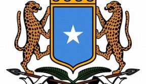 Nigeria Reaffirms Unwavering Solidarity with Somalia, Defends Its Sovereignty and Territorial Unity.   By Raymond Enoch