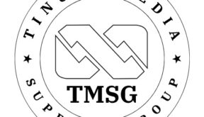 Atiku Has No Powers to Void Tax Laws, Says Tinubu Media Support Group  By Raymond Enoch