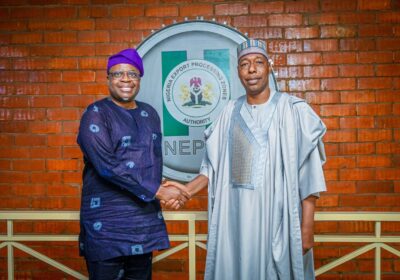 NEPZA, BORNO STATE GOVERNMENT SEAL HIGH-STAKES DEAL TO REAWAKEN, ECONOMY DORMANT TRADE GATEWAY. By Raymond Enoch