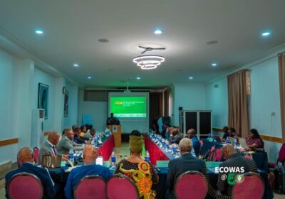 INFRASTRUCTURE IN AFRICA: PIDA MOVES TO STRENGTHEN COORDINATION, FAST-TRACK DELIVERY  By Raymond Enoch