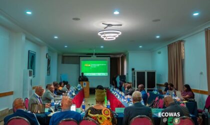 INFRASTRUCTURE IN AFRICA: PIDA MOVES TO STRENGTHEN COORDINATION, FAST-TRACK DELIVERY  By Raymond Enoch