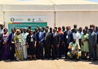 ECOWAS Moves to Digitise Livestock Tracking to Boost Security, Trade  By Raymond Enoch