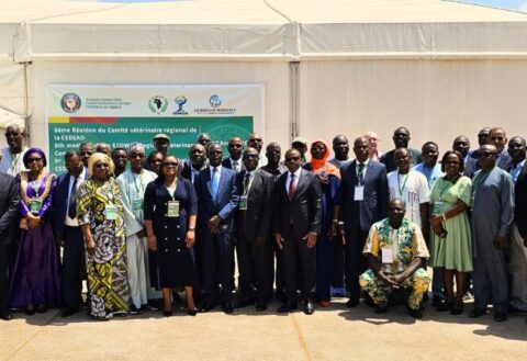 ECOWAS Moves to Digitise Livestock Tracking to Boost Security, Trade  By Raymond Enoch