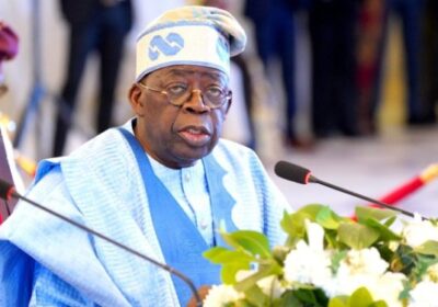 Tinubu Reforms Drive Surge in Manufacturers’ Revenue — IMPI  By Raymond Enoch