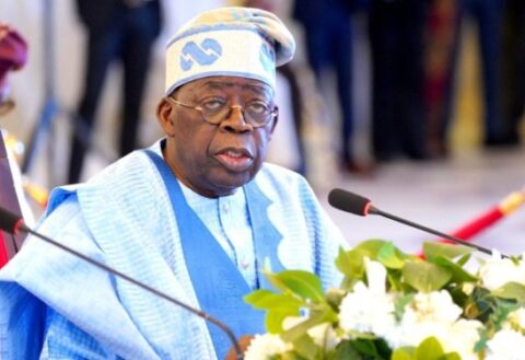 Tinubu Reforms Drive Surge in Manufacturers’ Revenue — IMPI  By Raymond Enoch