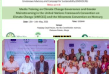 WEP, EnviroNews ORGANIZE TWO-DAY MEDIA TRAINING ON CLIMATE GOVERNANCE AND GENDER MAINSTREAMING, UNFCCC AND MINAMATA CONVENTION ON MERCURY  By Raymond Enoch