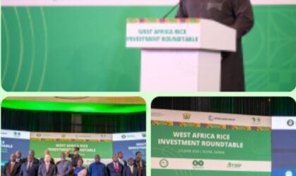 ECOWAS Moves to End Rice Imports, Meets Partners, Targets Self-Sufficiency by 2035  By Raymond Enoch