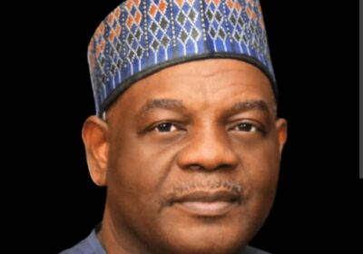 Echono Charges Nigerian Scientists to Fast-Track Lassa Fever Vaccine Development By Beauty Akporido Aroh