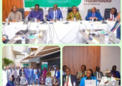 ECOWAS Moves to Harmonise Regional Statistics Convenes Dakar Meeting By Raymond Enoch