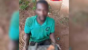 Community Vigilante Foils Midnight Attack on Benin–Onitsha 330kV Transmission Tower, Suspected Vandal Arrested  By Raymond Enoch