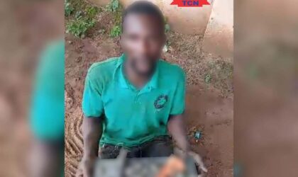 Community Vigilante Foils Midnight Attack on Benin–Onitsha 330kV Transmission Tower, Suspected Vandal Arrested  By Raymond Enoch