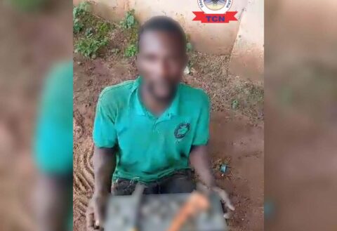 Community Vigilante Foils Midnight Attack on Benin–Onitsha 330kV Transmission Tower, Suspected Vandal Arrested  By Raymond Enoch