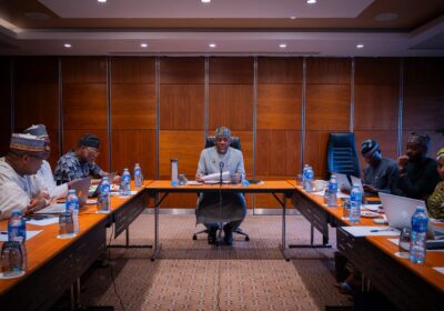 Alausa Orders Six-Month NESRI Review, Demands Accountability Over Education Reform Deliverables By Beauty Akporido Aroh