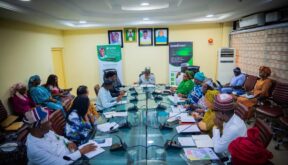 Tinubu Has Delivered 100% of 2023 Campaign Promises, Nigeria Is Back — Alausa  By Beauty Akporido Aroh