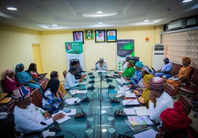 Tinubu Has Delivered 100% of 2023 Campaign Promises, Nigeria Is Back — Alausa  By Beauty Akporido Aroh