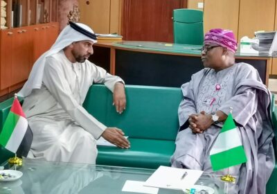 Nigeria, UAE Move to Unlock $5bn Trade, Aviation and Tech Opportunities as Abuja Pushes for CEPA  By Raymond Enoch