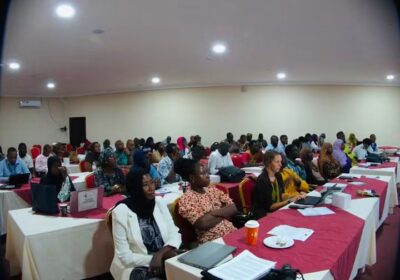 The Gambia Strengthens Mental Health Coordination with New Technical Working Group By Isatou Jawara