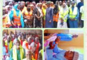 NIRSAL PLC Target 600 Adamawa Farmers in Livestock Skills Drive  By Raymond Enoch