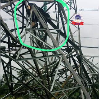 VANDALISM TURNS FATAL: 330KV TOWER CRUSHES SUSPECTED VANDAL IN DELTA  By Raymond Enoch