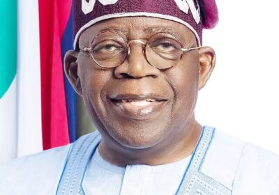 Mambilla Ruling Shields Nigeria’s Finances, Opens New Economic Opportunities — TSF By Raymond Enoch