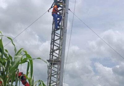 ONGOING REHABILITATION: TCN Brace Up to Restore Kainji–Birnin Kebbi 330kV Transmission Line  By Raymond Enoch