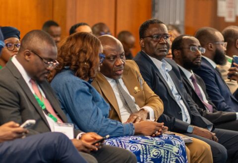 Alausa Champions Global Jobs for Nigerian Talents at UNGA 81  By Beauty Akporido Aroh